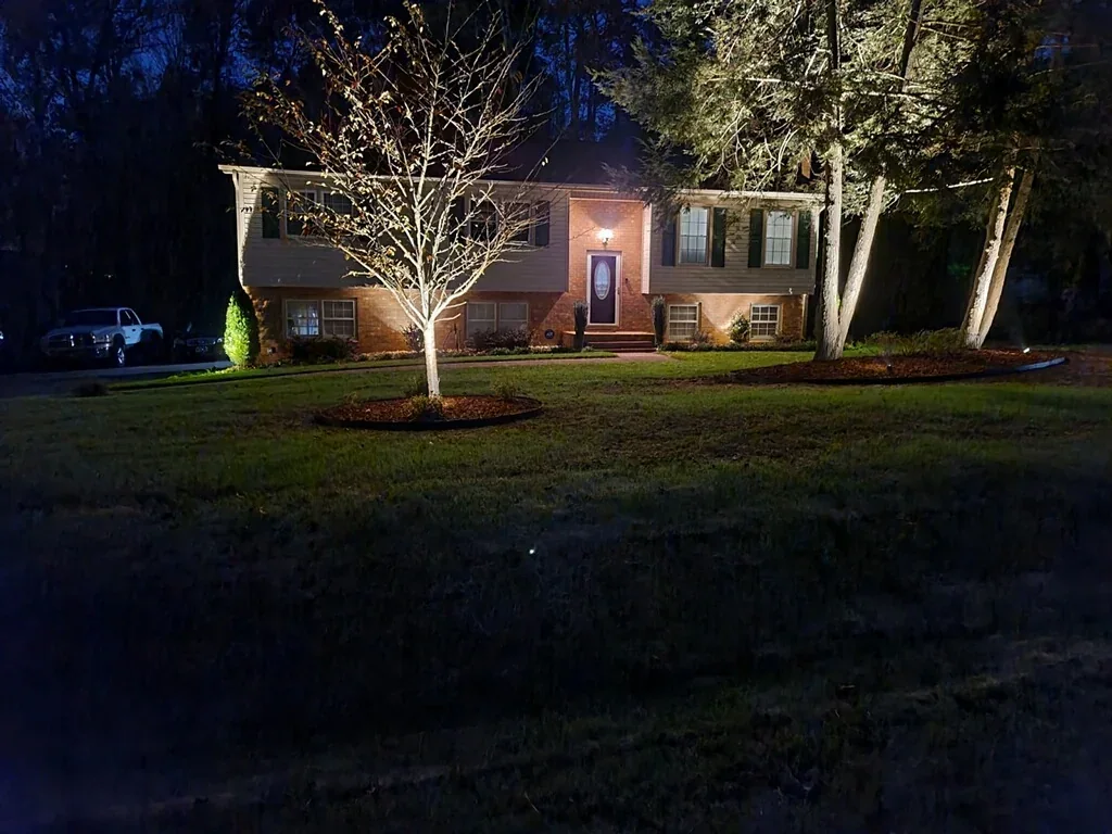 Drought tolerant plants