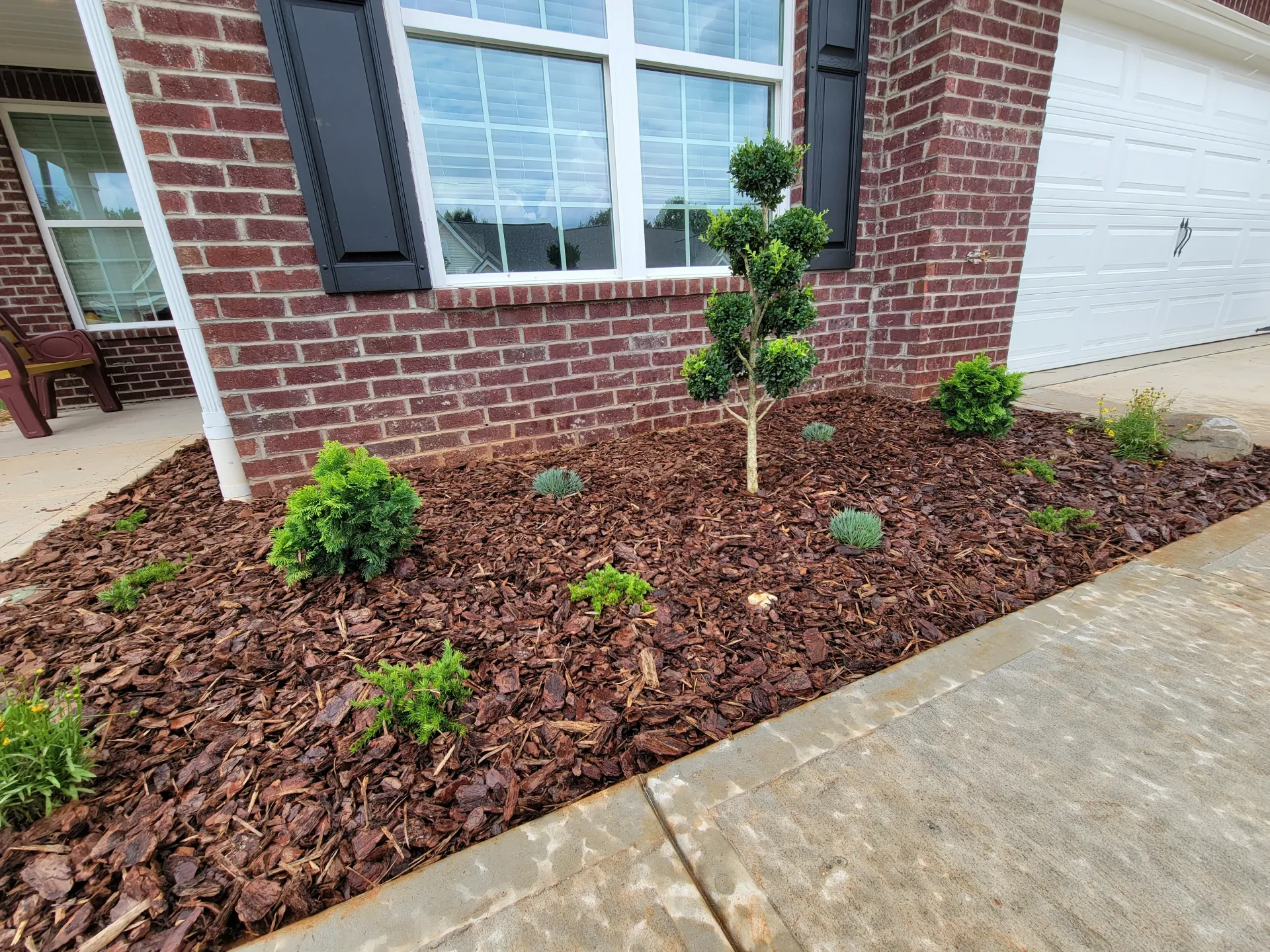 Freshly mulched landscape bed