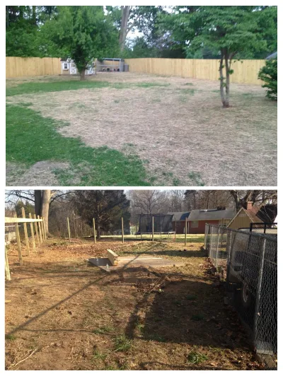 This split image documents the transformation of a residential backyard, showing the initial fence posts and dirt ground evolving into a completed wood privacy fence.