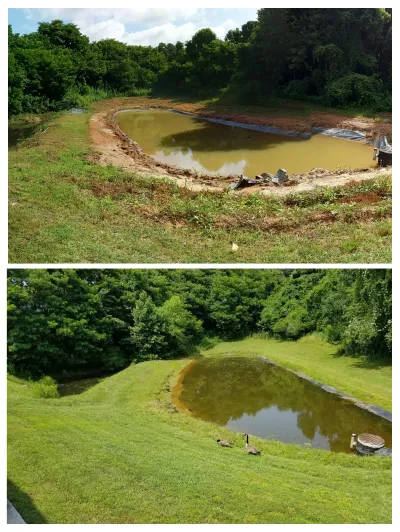 This diptych illustrates the transformation of a retention pond from muddy, unfinished banks to a fully stabilized area with lush green grass and wildlife.